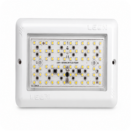 LEON Kare Sıva Üstü LED Havuz Lambası