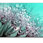 Otel Televizyonu MT75EG8000QF 75’’ 190cm Ekran FRAMELESS QLED 4K Ultra HD Google TV 75" Google TV QLED