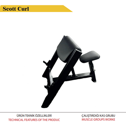 Scott Curl