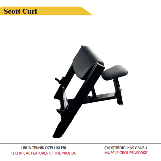 Scott Curl
