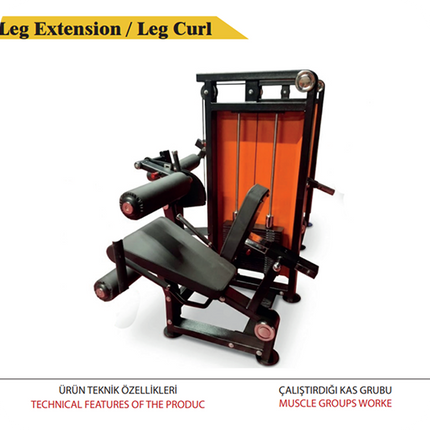 Leg Extension / Leg Curl (Model 2)