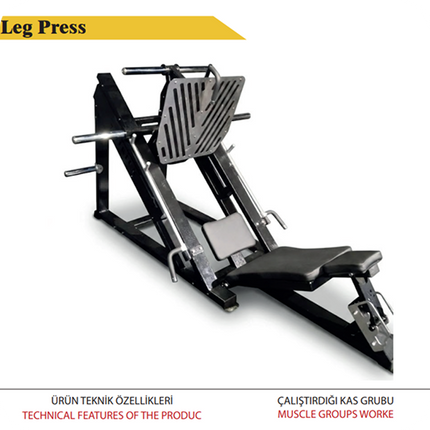 Leg Press