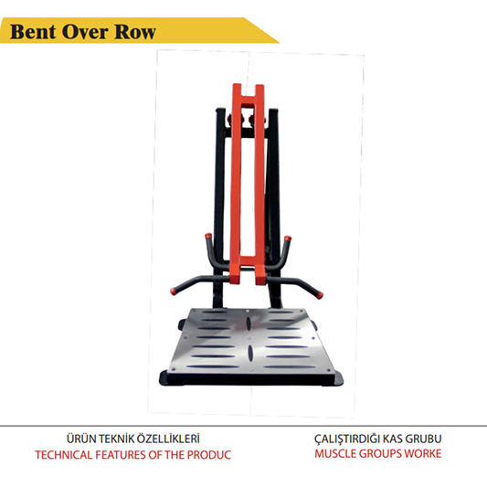 Bent Over Row